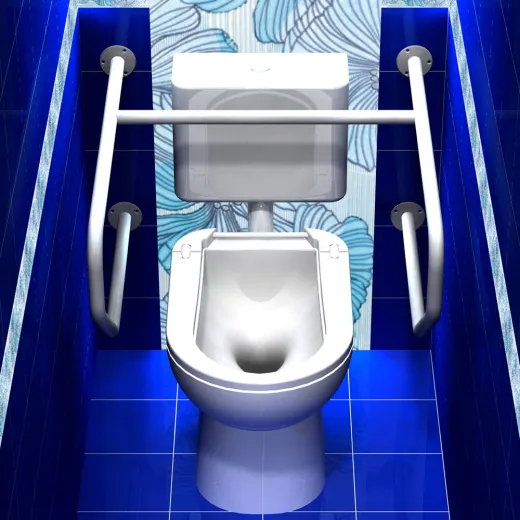 Поручень для инвалидов для унитаза настенный ПУН-01.03.730.480.750.Н купить