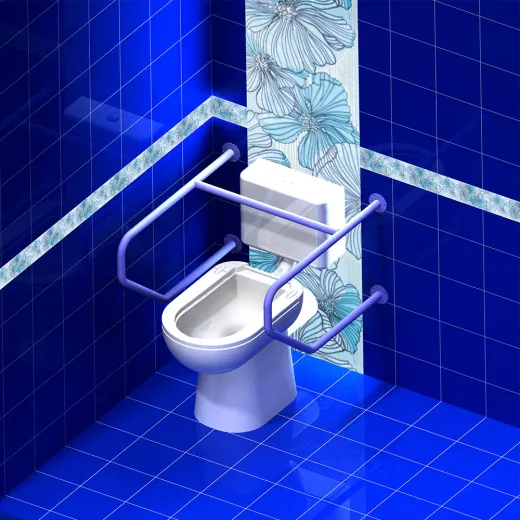 Поручень для инвалидов для унитаза настенный ПУН-01.03.730.480.750.Н купить